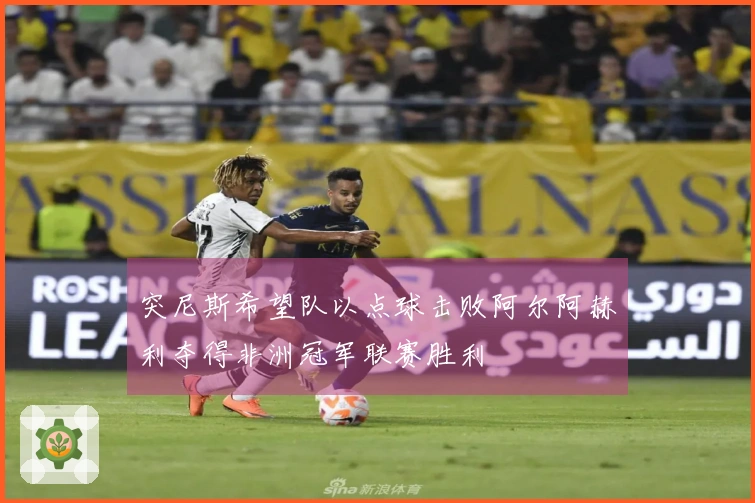 突尼斯希望队以点球击败阿尔阿赫利夺得非洲冠军联赛胜利